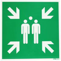 Cartello fotoluminescente Punto di raccolta - Rigido