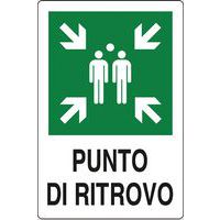 Cartello di emergenza - Punto di ritrovo