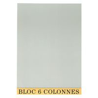 Bloc-notes controllo contabile 29,7 x 21 cm 6 col. 70 fogli
