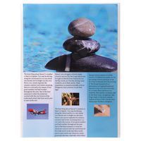 Confezione da 10 custodie protettive formato singolo in polipropilene A4