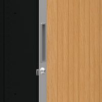 chiudibile con lucchetto