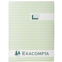 Registro 29,7x21cm 5x5 con fogli numerati 300 pagine