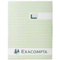 Registro 29,7 x 21 cm, 5 x 5, 500 pagine numerate