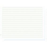 Fogli elenco carta autocop. suddivisa in aree verdi/blu, 380 x 11, 2 copie, banda non staccabile