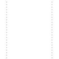 Fogli elenco bianchi 240 x 11, 4/6, 1 copia, Banda Caroll Staccabile 80 g