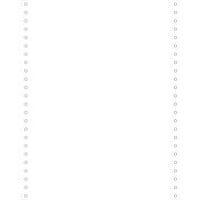 Fogli elenco bianco 240 x 12, 1 copia microperforati, staccabili da 80 g