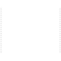 Fogli elenco bianchi 380 x 11, 1 copia, bande staccabili 70 g