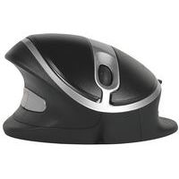 Mouse verticale cablato Oyster Mouse - Bakkerelkhuizen