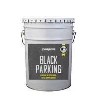 Rinnovatore per asfalto - Black Parking 25 kg - Ampère