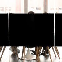 Pellicola opacizzante nera opaca - Luminis