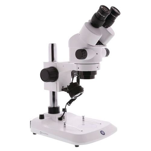 Microscopio stereoscopico con zoom - Ingrandimento da 10x a 40x