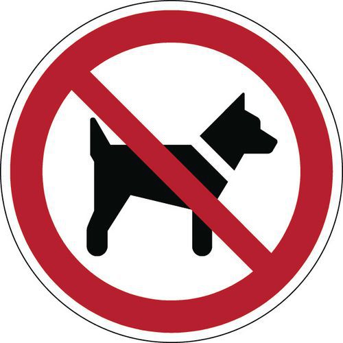 Cartello di divieto - Vietato l’ingresso ai cani - Rigido