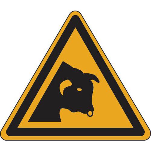 Cartello di pericolo - Attenzione toro - Alluminio