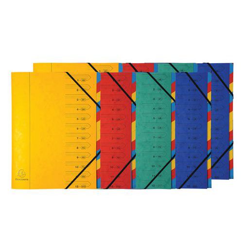 Raccoglitore con laccio elastico con 12 divisori per classificazione - Colori assortiti - Lotto da 8 pezzi