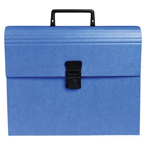 Classificatore a valigetta con manico 12 scomparti Iderama® A4