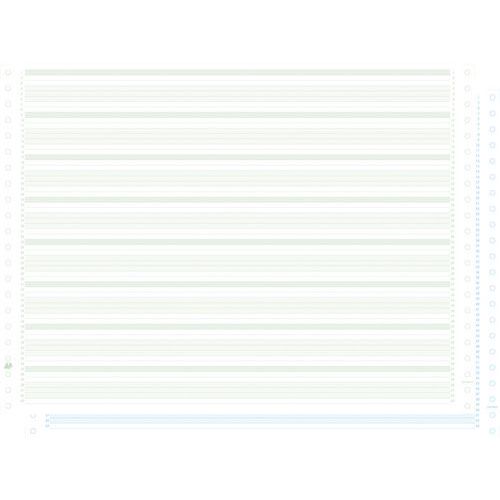 Fogli elenco carta autocop. suddivisa in aree verdi/blu, 380 x 11, 2 copie, banda non staccabile