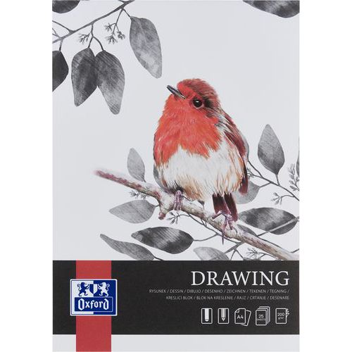 Blocco da disegno Drawing Art rilegato A4 25p 200g - Oxford