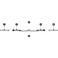 1 - pannello rigido 2 - porta scorrevole a sinistra 3 - porta scorrevole a destra 4 - pannello rigido 5 - esterno 6 - interno