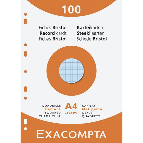 Confezione da 100 schede a quadretti perforate, colori assortiti,