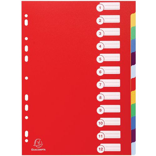 Intercalare in polipropilene opaco 12 posizioni,