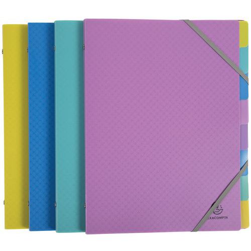 Classificatore in polipropilene per formato A4,