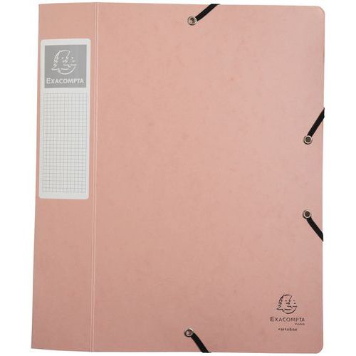 Exacompta - Réf. 16016H - 10 boites de classement avec élastiques CARTOBOX - livrées à plat