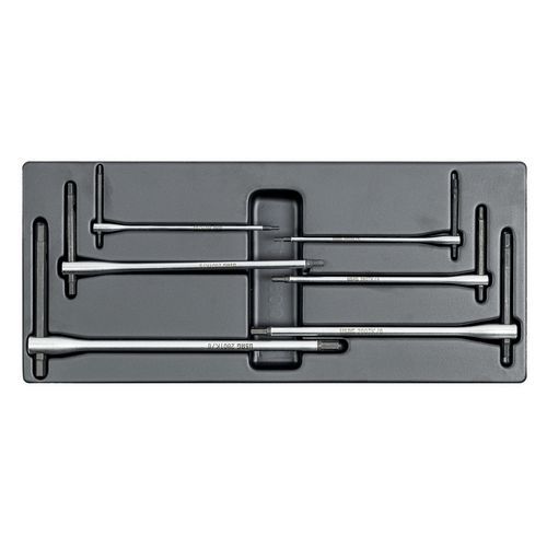 Modulo in termoformato assortito (6 pz),
