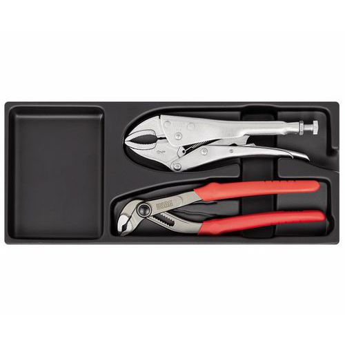 Modulo in termoformato assortito (2 pz),