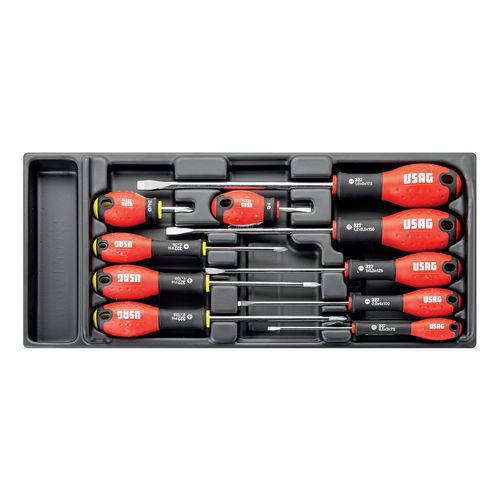Modulo in termoformato assortito (10 pz),