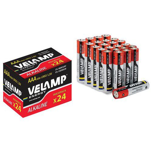 Lotto da 24 pile alcaline LR03 (AAA) - Velamp,