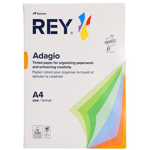 Rey Giallo 500F Adagio Limone A4 80G A4 Limone,