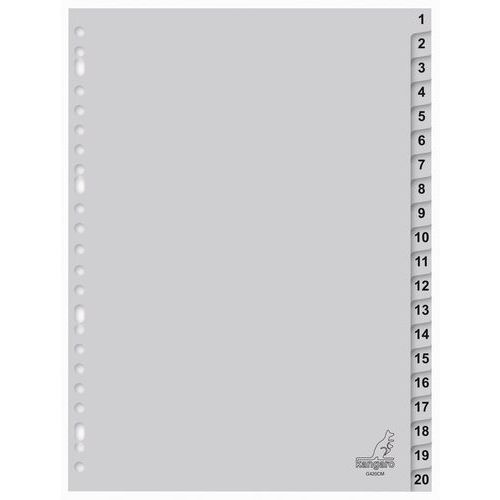 Separatore Con Indice Numerico ECO N.Divi:20 Material:Polipr,