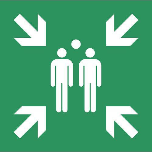 Cartello Di Evacuazione-Emerge Messag:Punto Di Material:Poli,