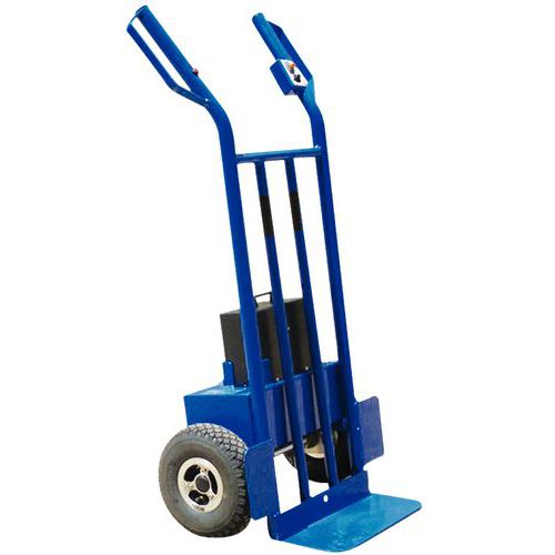 Carrello motorizzato - Portata 300 kg,