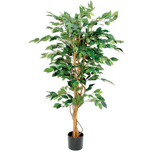 Pianta artificiale Ficus Benjamina verde altezza 150 cm,