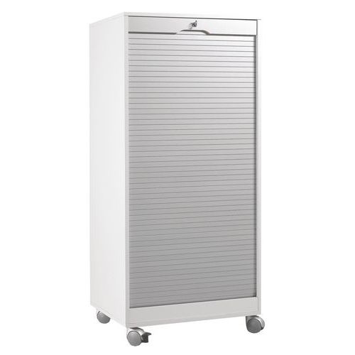 Armadio informatico mobile, serrandina in Al, corpo bianco,