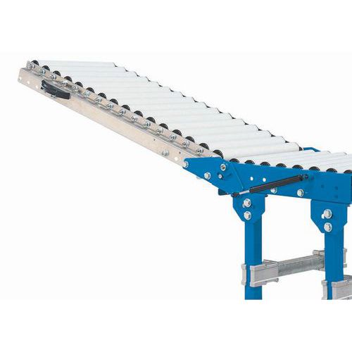 Sportello Sollevab. Passo Rull i 62,5Mm Lung.3 00Mm Diam=50M,