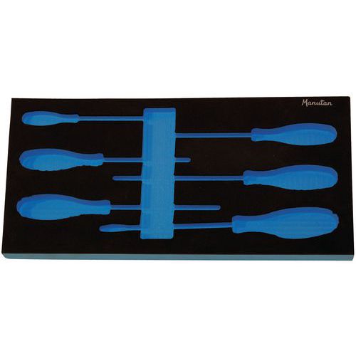 Modulo vuoto per 6 cacciaviti 1/3,