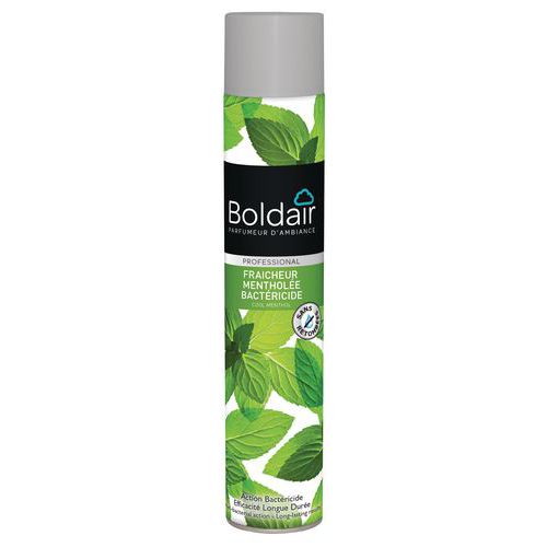 Battericida freschezza alla menta Boldair - spray 500 mL,