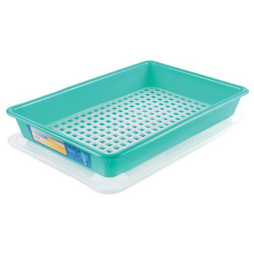 Contenitore piatto 5 L HACCP con coperchio e griglia - Verde,