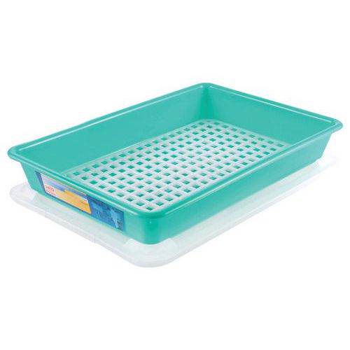 Contenitore piatto 8 L HACCP con coperchio e griglia - Verde,