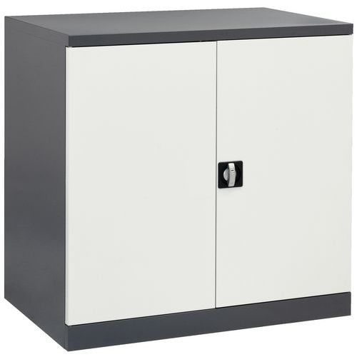 ARMADIO BASSO 2 RIP L1000xP665xH1000 MM,