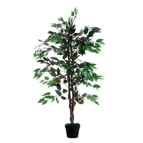Pianta artificiale ficus-Alt 120cm,