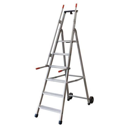 Scala con rampa di sicurezza e rotelle - 6 gradini,