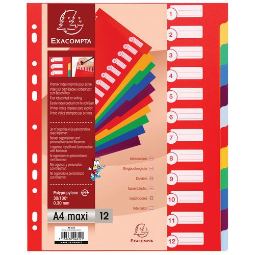 Set di 12 intercalari pp opaco semirigido A4 maxi,