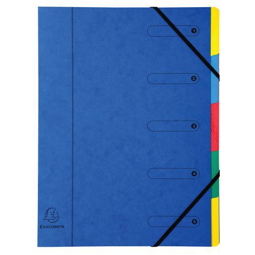 Classificatore harmonika nature future cartoncino lucido 5 scomparti,