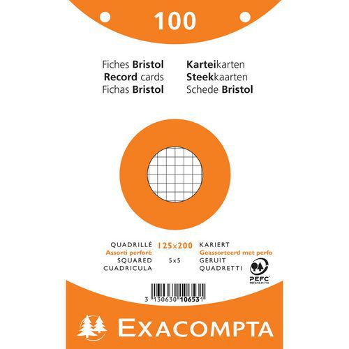 Set di 12 confezioni da 100 schede perforate con pellicola 125 x 200 mm assortite,