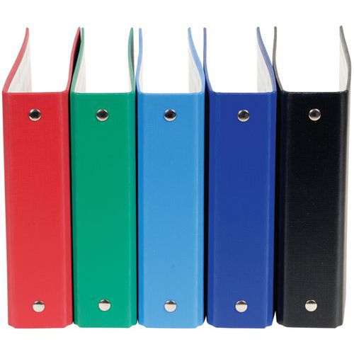 Set di 10 raccoglitori pp per bristol 100 x 150 2 anelli assortiti,