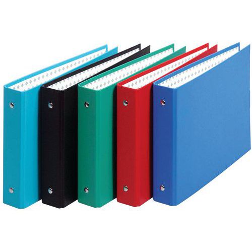 Set di 10 raccoglitori pp per bristol 125 x 200 2 anelli assortiti,