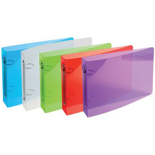 Set di 10 raccoglitori per bristol 100 x 150 2 anelli pp assortiti,